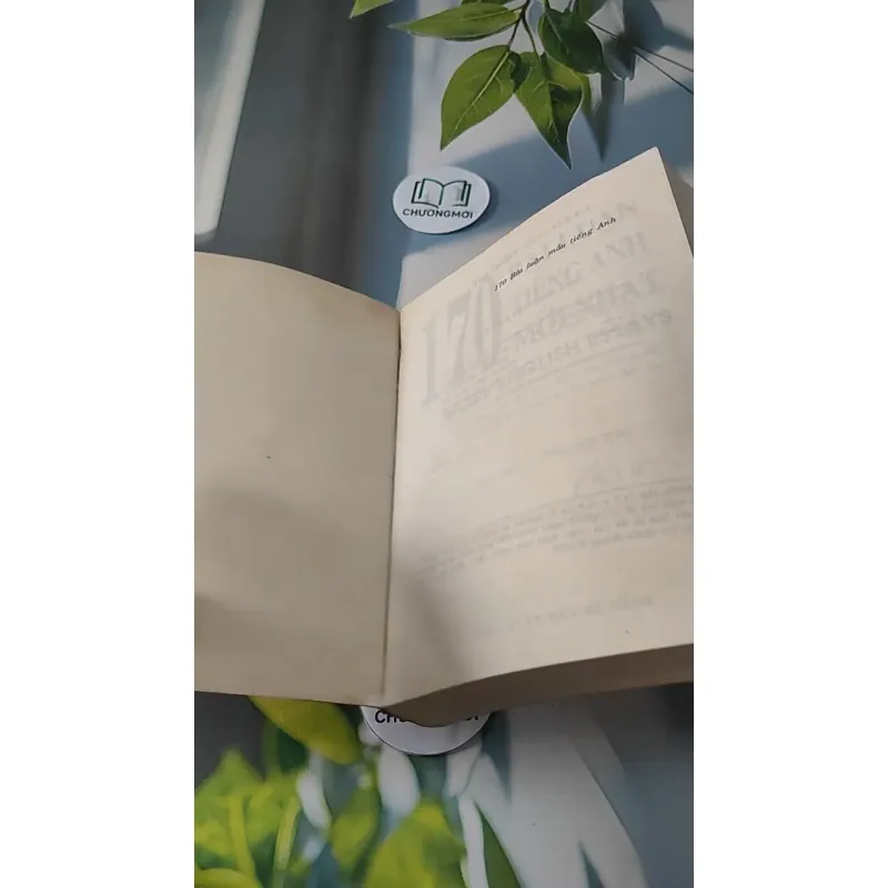 170 Bài Luận Mẫu Tiếng Anh - Phan Anh Hiền 727268