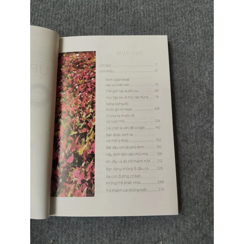 UPANISHAD - OSHO 717938