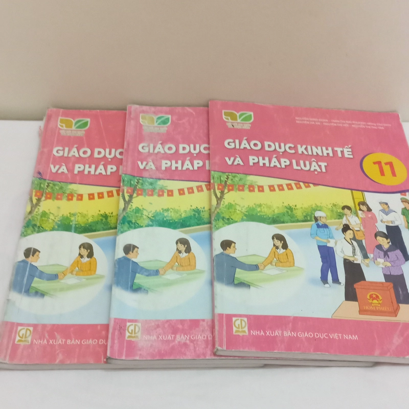 SGK Giáo Dục Kinh Tế Pháp Luật Lớp 11-Kết Nối Tri Thức Với Cuộc Sống 552219
