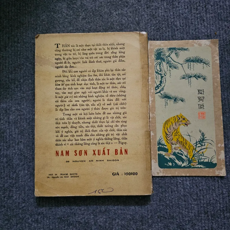 Ca tụng thân xác - nguyễn văn trung 748976