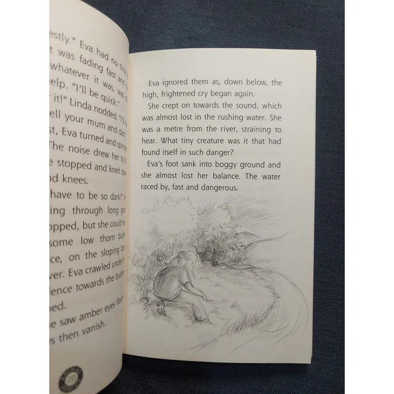 RUSTY – THE INJURED FOX CUB 931175