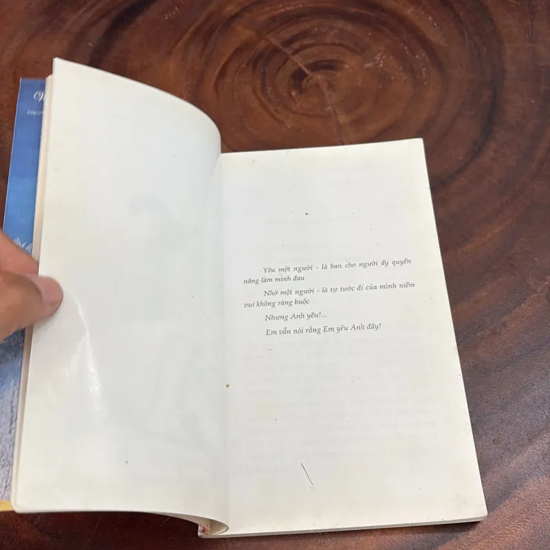 II Văn Học: Trái Tim Của Sói - Vũ Quỳnh Hương - 2008 999253