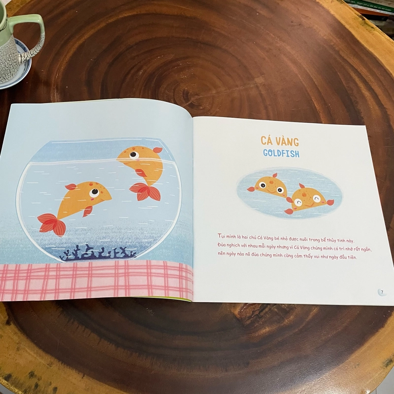 II Sách khổ to: Chúng Mình Ở Quanh Bạn - Trần Quỳnh - 2020 455734