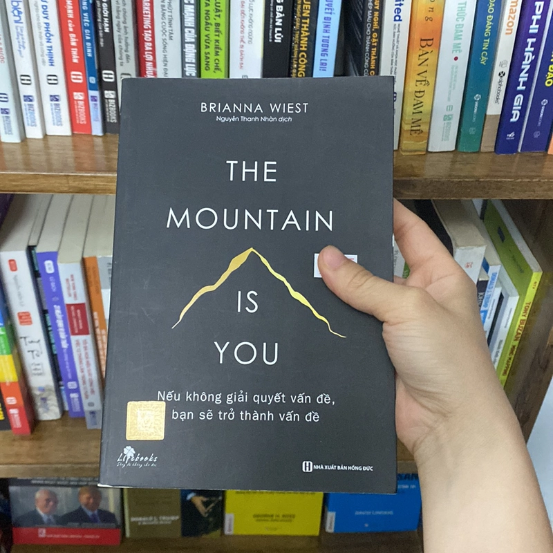 Nếu không giải quyết vấn đề bạn sẽ trở thành vấn đề the mountain is you 519356