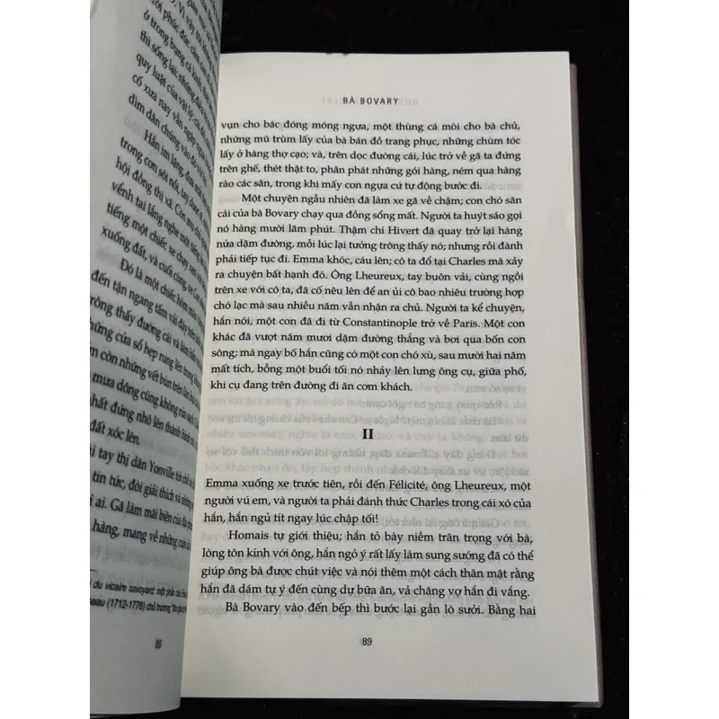 Bà Bovary (bìa cứng) 717559