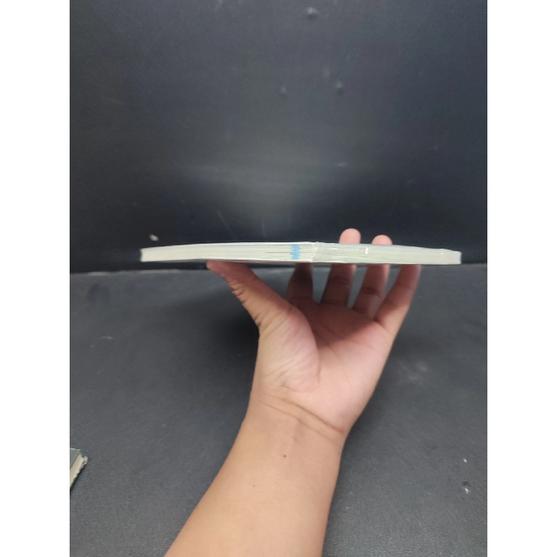 Lãnh Đạo Chánh Niệm mới 100% HCM1406 Palma Michel SÁCH KỸ NĂNG 915606