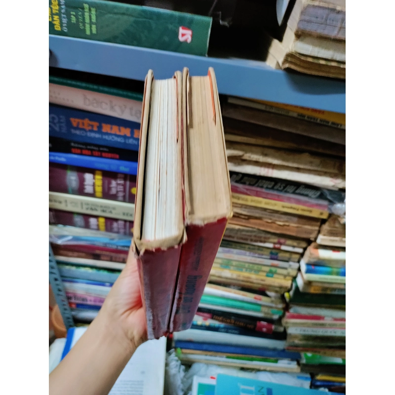 Đất vỡ hoang 443302