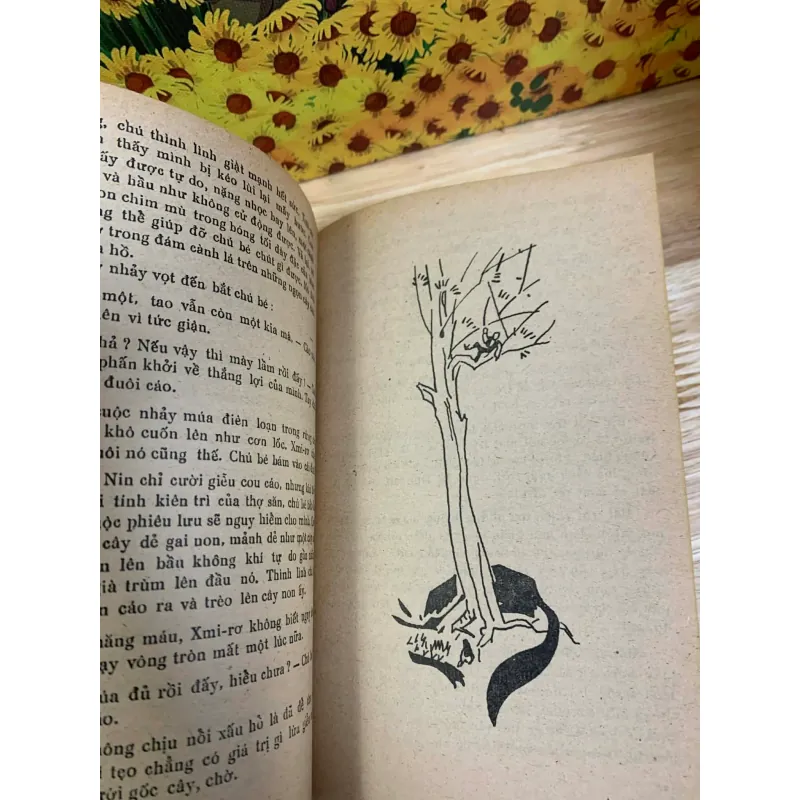 Cuộc Du Lịch Kỳ Diệu Của Nin Hơ-Gớc-Xơn - Selma Lagerlöf 926222