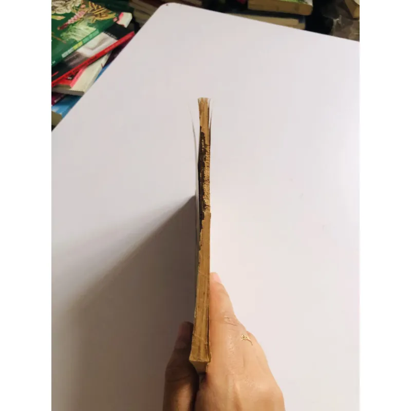 CHỒNG EM TÒNG QUÂN – Ngô Hoàng Quân 795530