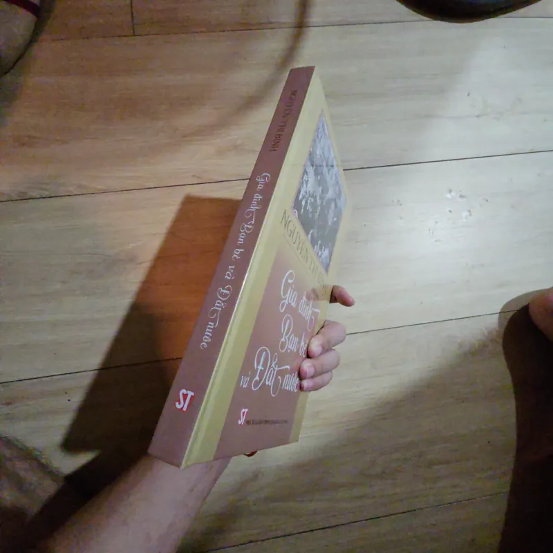 Hồi ký Gia đình Bạn bè Đất nước - Nguyễn Thị Bình 933842