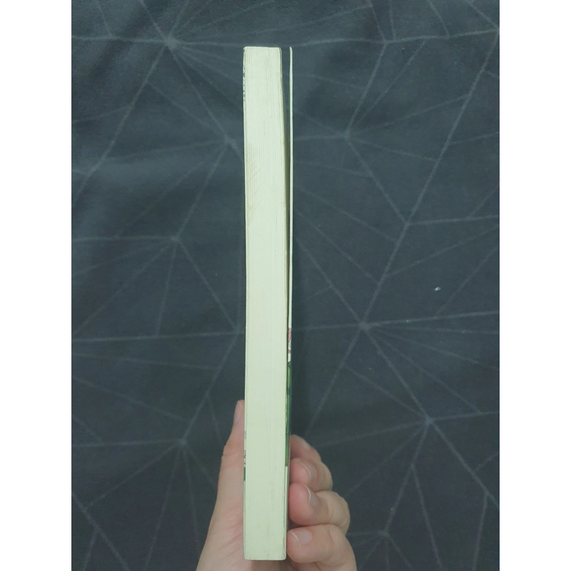 "Tháng năm sen nở" - Cổ Nguyệt Quang 521581