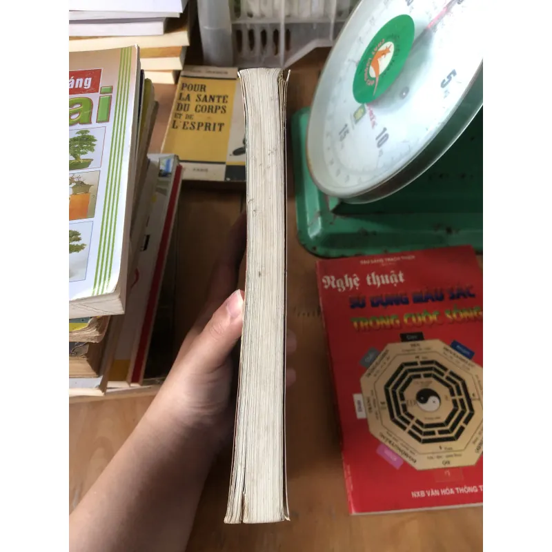 Tôi về, trên những dặm gai đâm-Đỗ Văn Trọn 973615