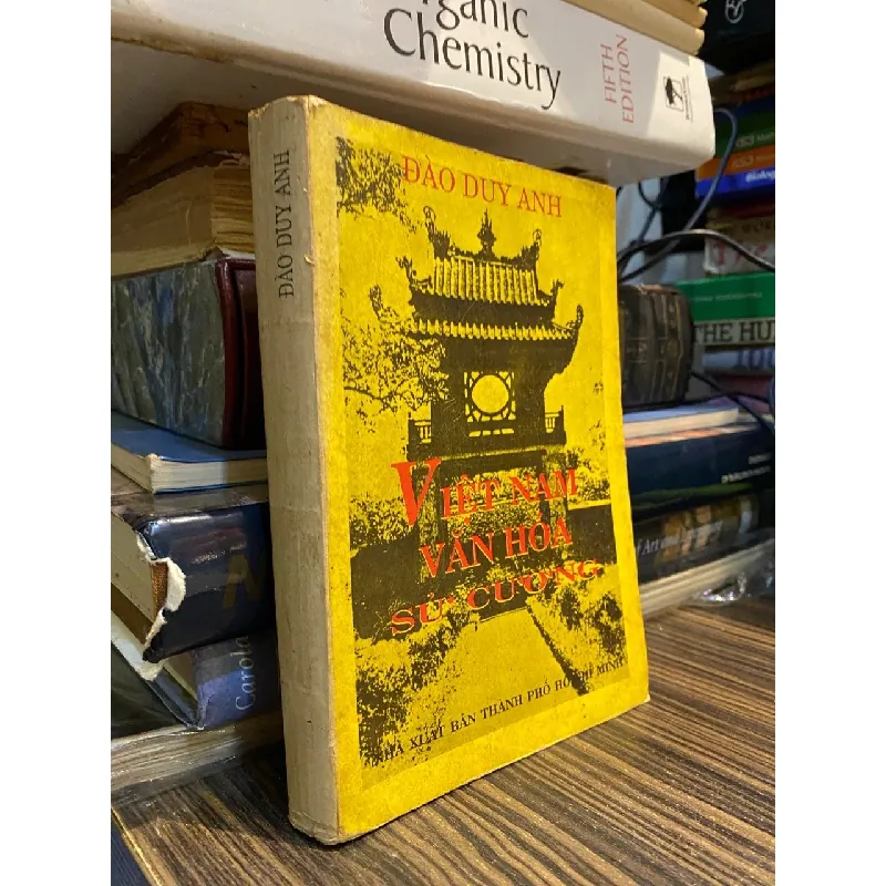 Việt Nam văn hóa sử cương - Đào Duy Anh 367182