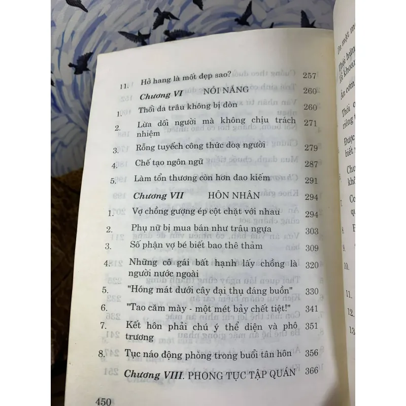 Người Trung Quốc Tự Trào - Trương Bình Trị, Dương Cảnh Long 760489