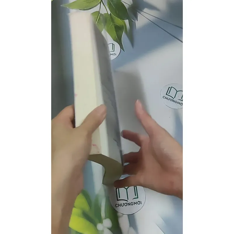 Kim Ốc Hận 2 - Liễu Ký Giang 688579