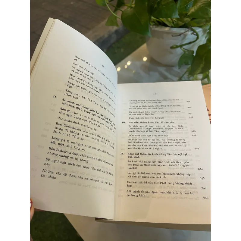 NGHIÊN CỨU KINH LĂNG GIÀ - THÍCH CHƠN THIỆN, TRẦN TUẤN MẪN dịch  1028790