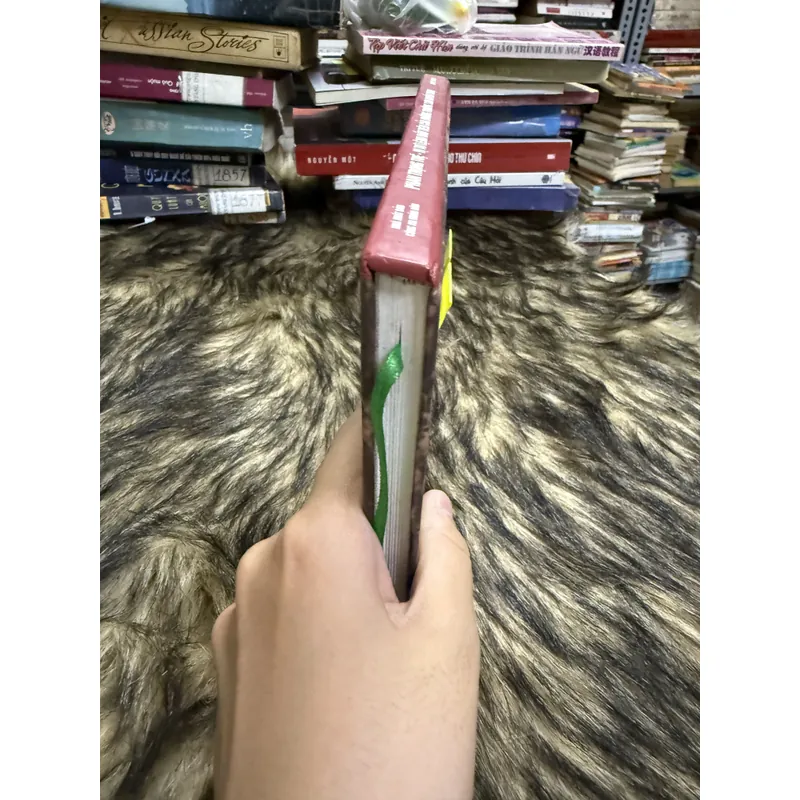 Phan Trọng Tuệ  600818