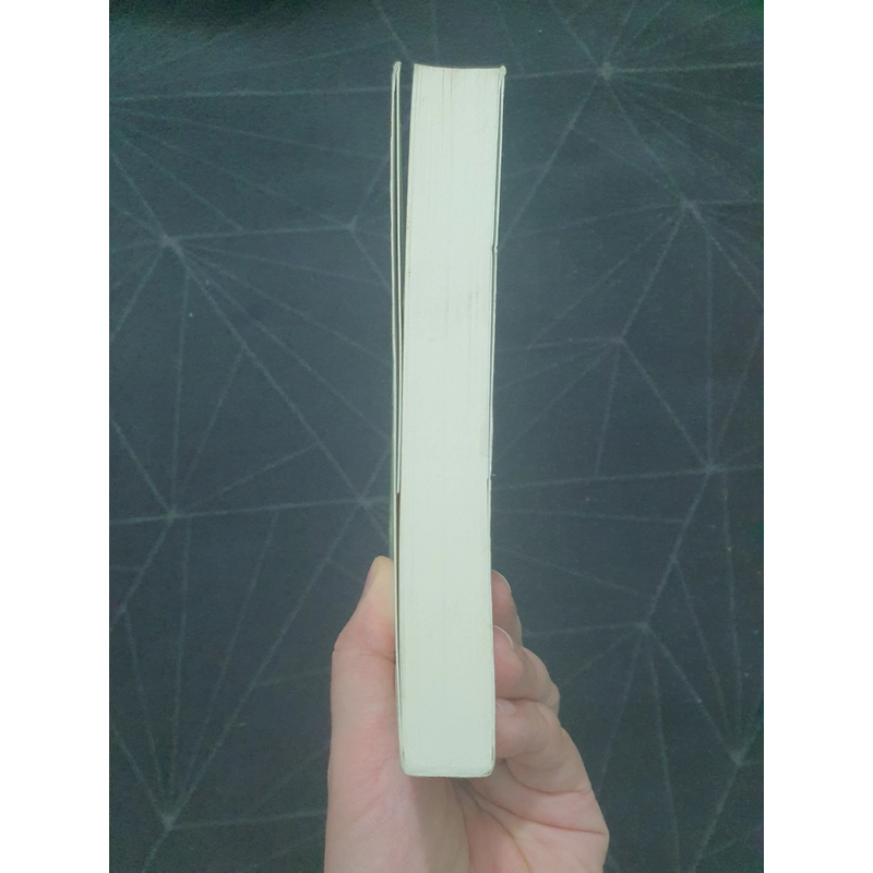 "Nỗi lo âu về địa vị" - Alain de Botton 496654