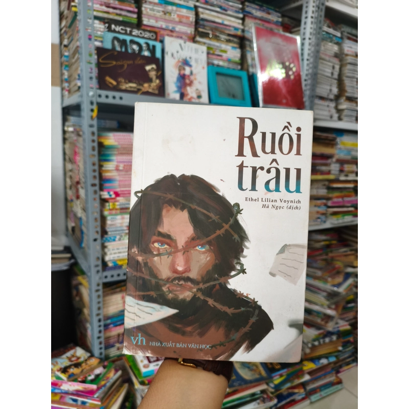 Ruồi trâu 🌱 523474