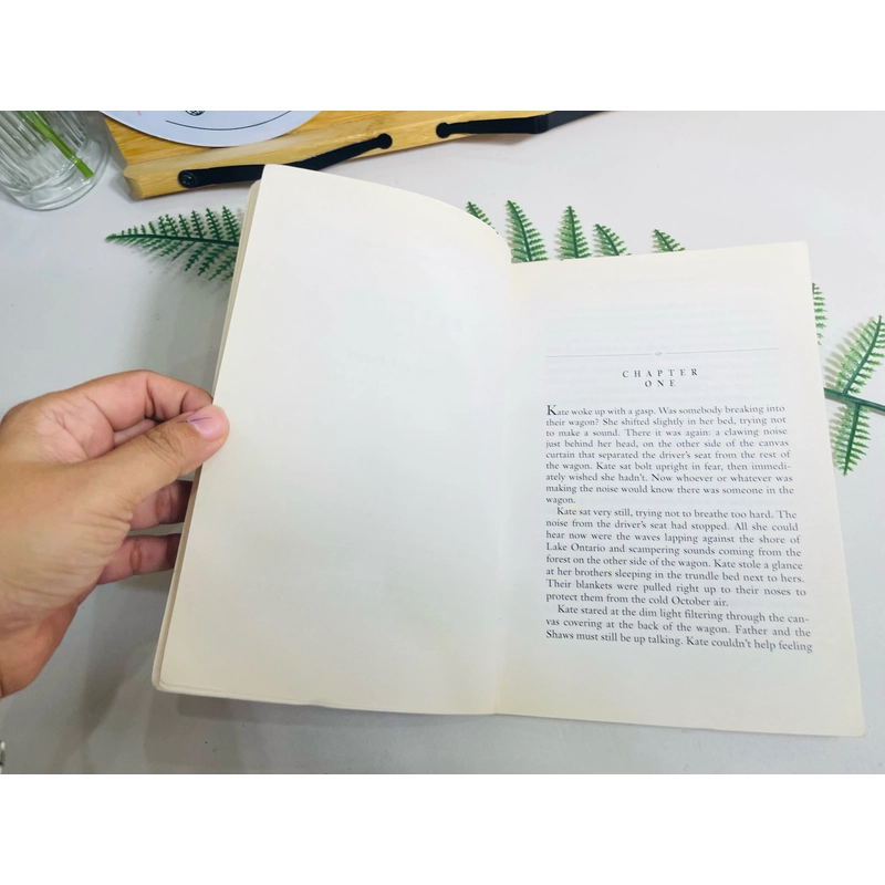 [Sách 2hand từ US] Like new 90% - The Hungry Year – Connie Brummel Crook 472940