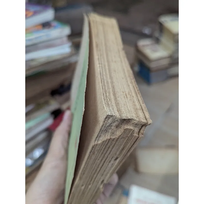 NHỮNG TÁC PHẨM CỦA PHAN BỘI CHÂU 191858