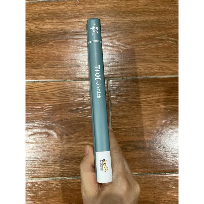 Tom giẻ rách (12) 1024245