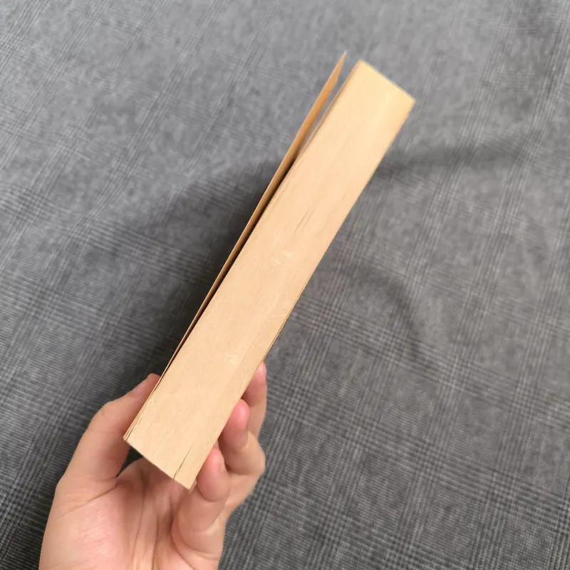 Pendragon Book 6: The Rivers of Zadaa - DJ Machale 735221