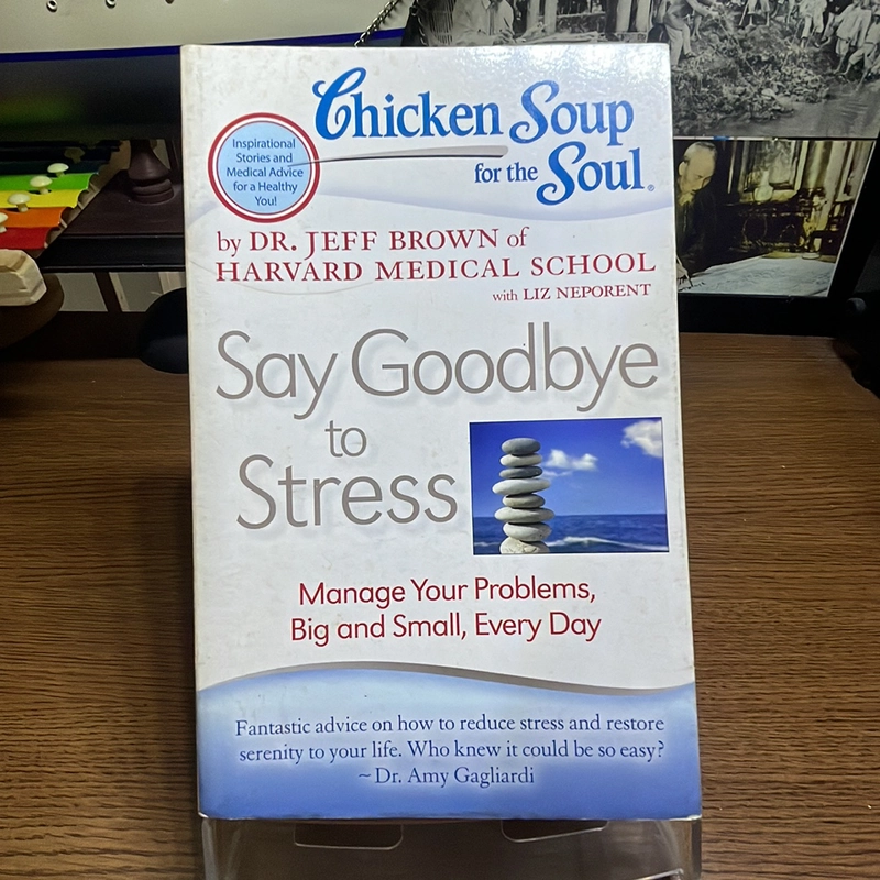 Say goodbye to stress Chicken soup for the soul 452993