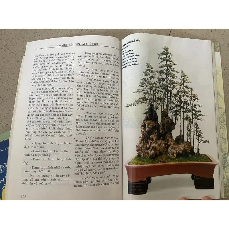 200 Kiệt Tác Bonsai Thế Giới 593874