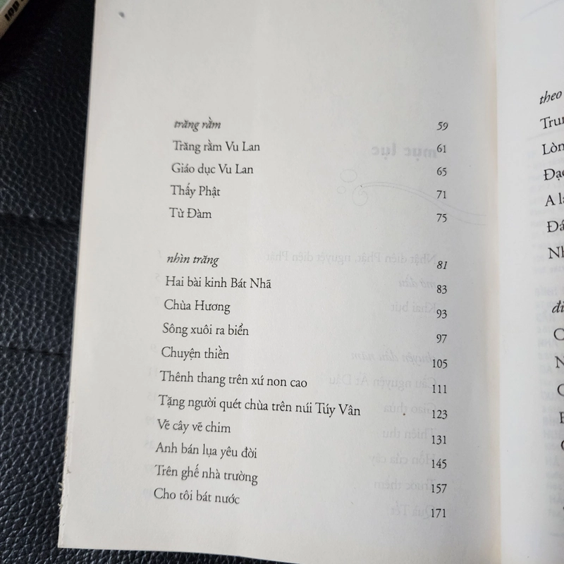 Thấy Phật | Cao Huy Thuần  493392