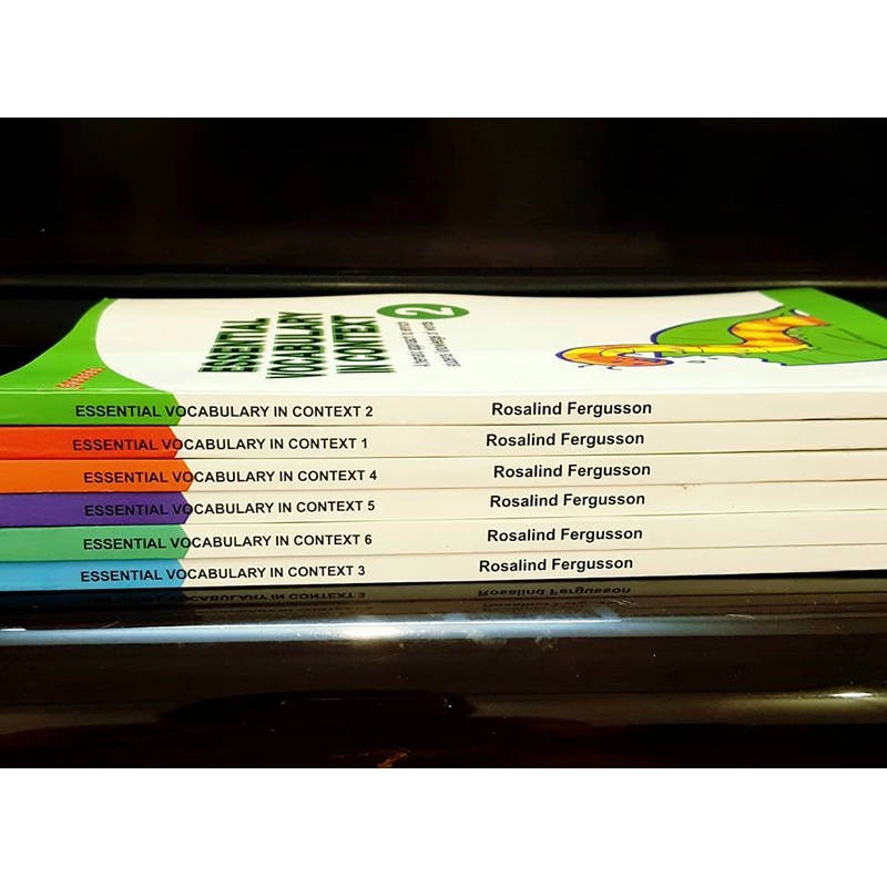 Essential Vocabulary in context 1-6 548354