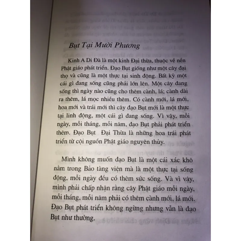 Thiết Lập Tịnh Độ-Nhất Hạnh 956883