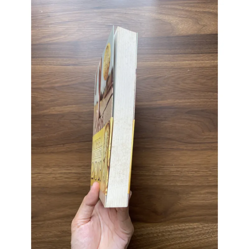 Trốn chạy - Alice Munro 975001