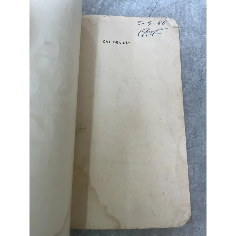 CÂY ĐÈN SẮT - NGUYỄN THANH BÌNH 278782