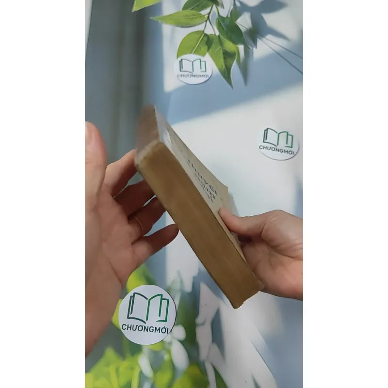 [MIỄN PHÍ BỌC SÁCH] [XƯA] Tiểu Thuyết Việt Nam Hiện Đại 2 (1978) - Phan Cự Đệ 776017