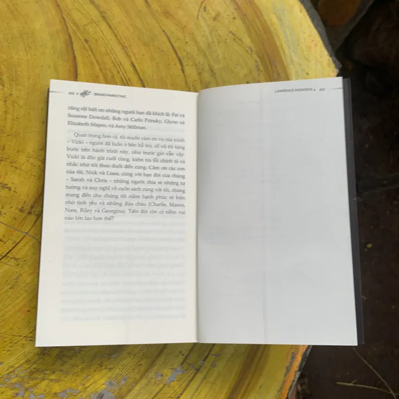 BRAND MARKETING- LAWRENCE INGRASSIA 747264