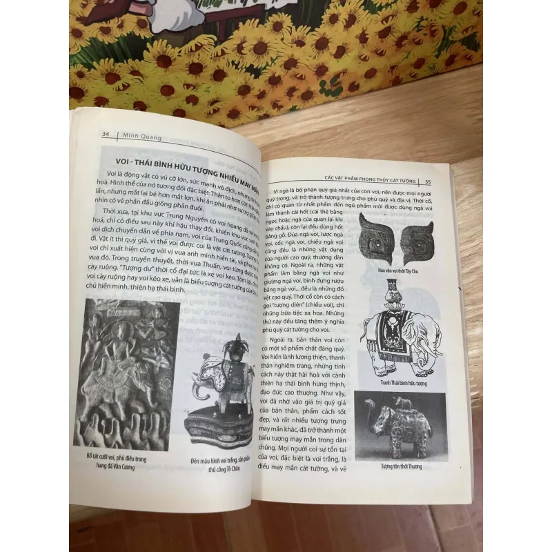 Các Vật Phẩm Phong Thủy Cát Tường 974711