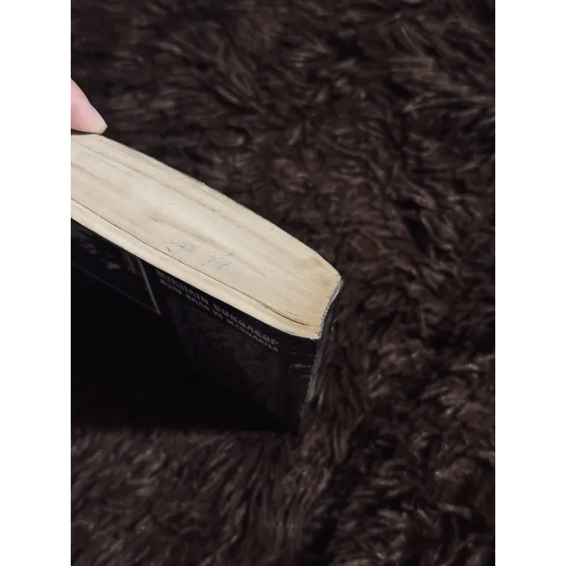 Nghệ nhân và Margarita 736227