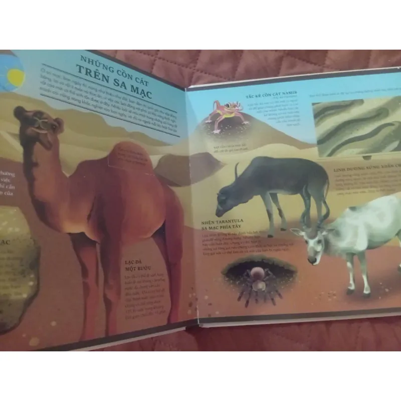 Atlas Đa Tương Tác Về Động Vật Hoang Dã 1009877