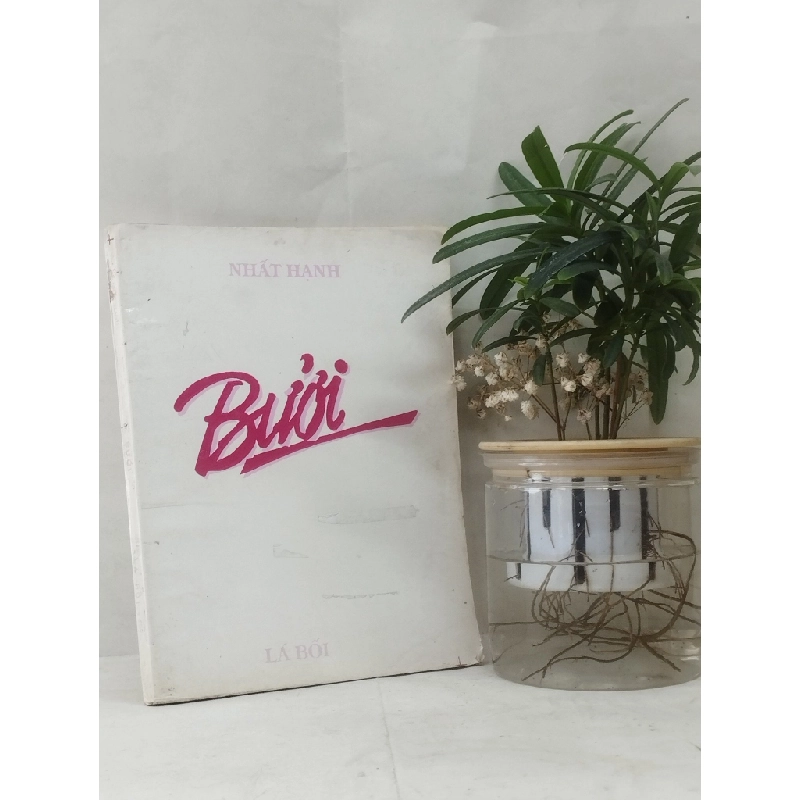 Bưởi - Nhất Hạnh 129253