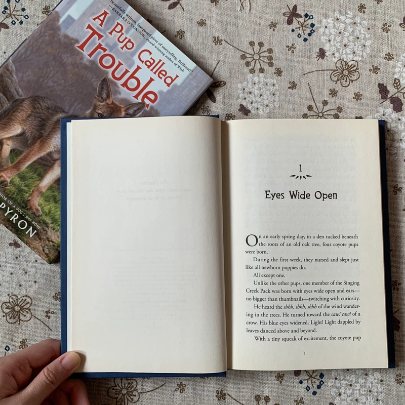 Sách ngoại văn A Pup Called Trouble, Used, Bìa cứng, Fiction For Young Adult 446629