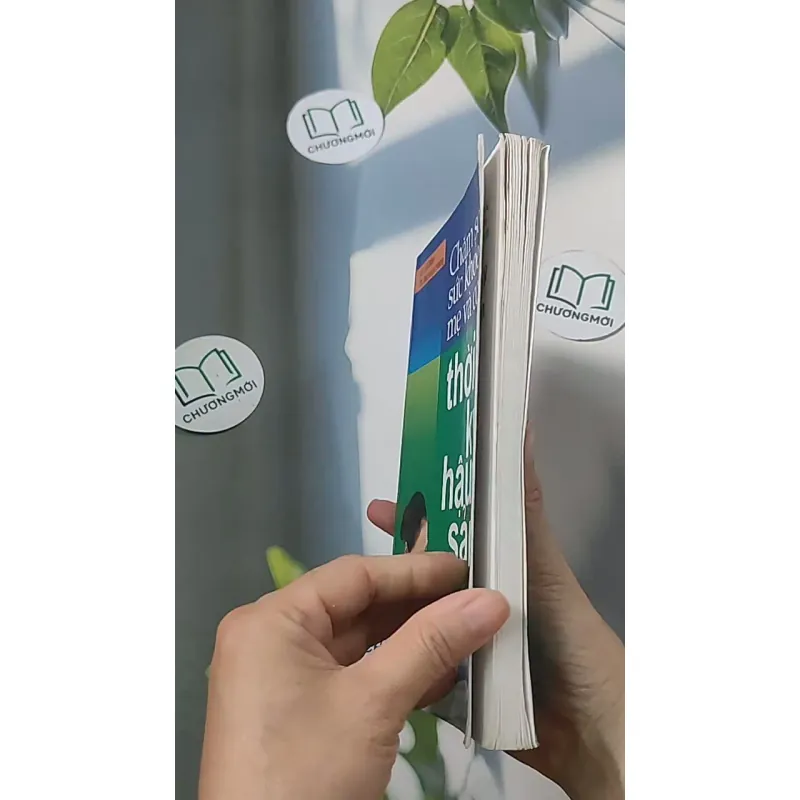 Chăm sóc sức khỏe mẹ và con thời kỳ hậu sản - Giáo sư Lê Đềm 688501