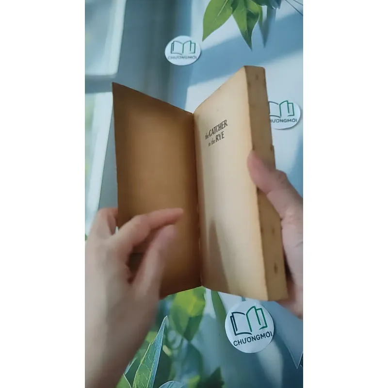 [MIỄN PHÍ BỌC SÁCH] [XƯA] The Catcher in the Rye (1951) - J. D. Salinger 1027211