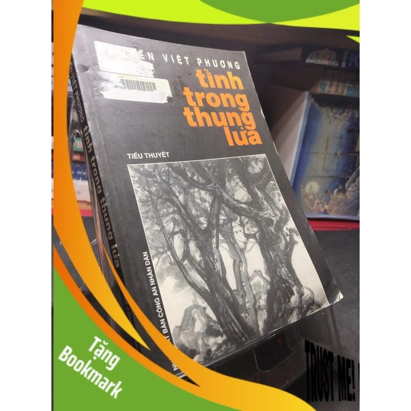 (TẶNG BOOKMARK) Tình trong thung lửa 2001 mới 70% ố bẩn nhẹ Nguyễn Việt Phương RBK0906 SÁCH VĂN HỌC 954057