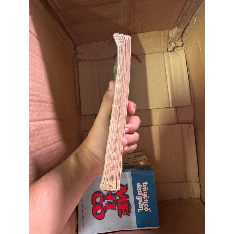 Đất rừng phương nam bản bao cấp  447632