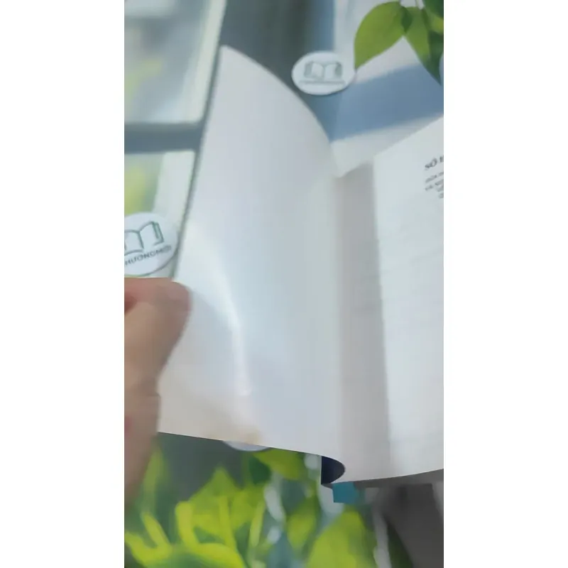 Luật Sở Hữu Trí Tuệ Và Nghị Định Hướng Dẫn Về Quyền Tác Giả, Quyền Liên Quan 727366