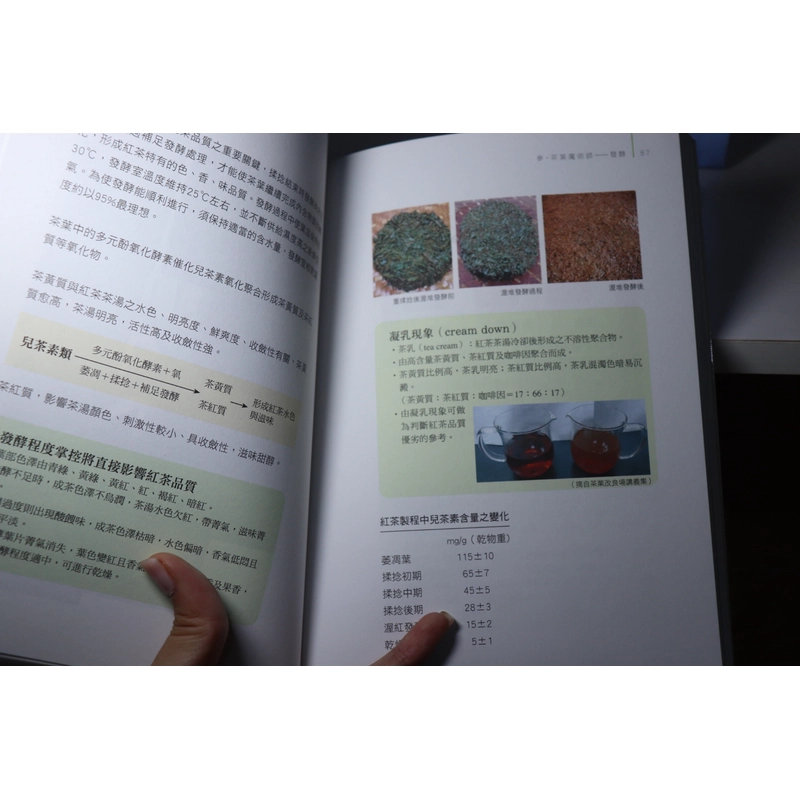 Trà Ngôn Quán Sắc 茶言觀色 - Trần Quốc Nhậm 465787