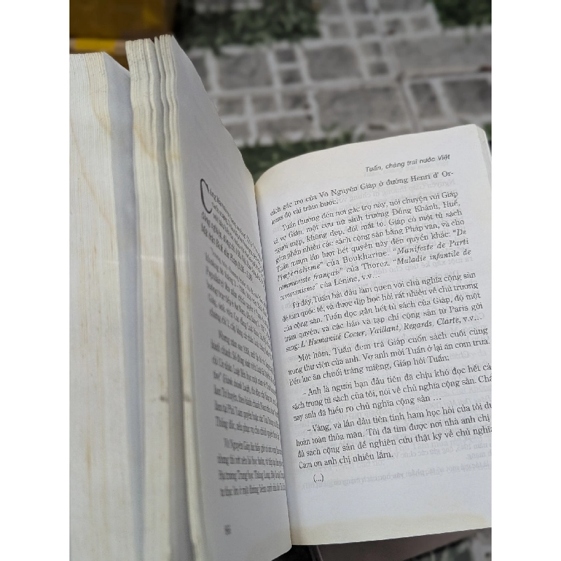 Tuấn chàng trai nước việt - Nguyễn Vỹ 126213