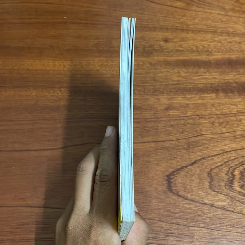 [Có Chữ Ký Tác Giả] - II Thơ: Cánh Nhạn Chiều Quê - Võ Cảnh - 2010 504830