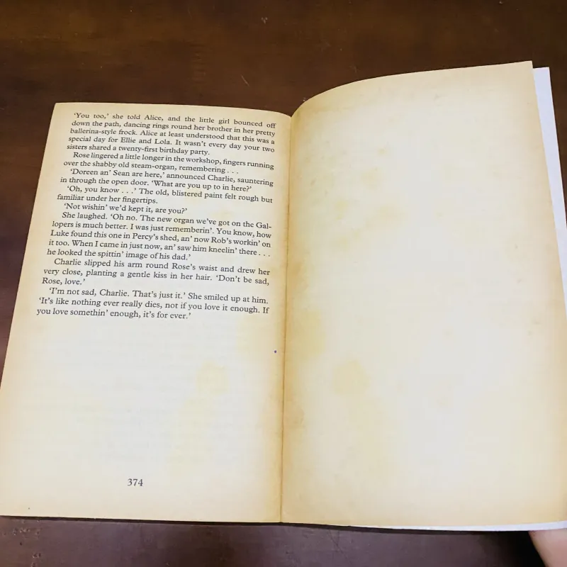 Fairfield rose - Sue Dyson  990595